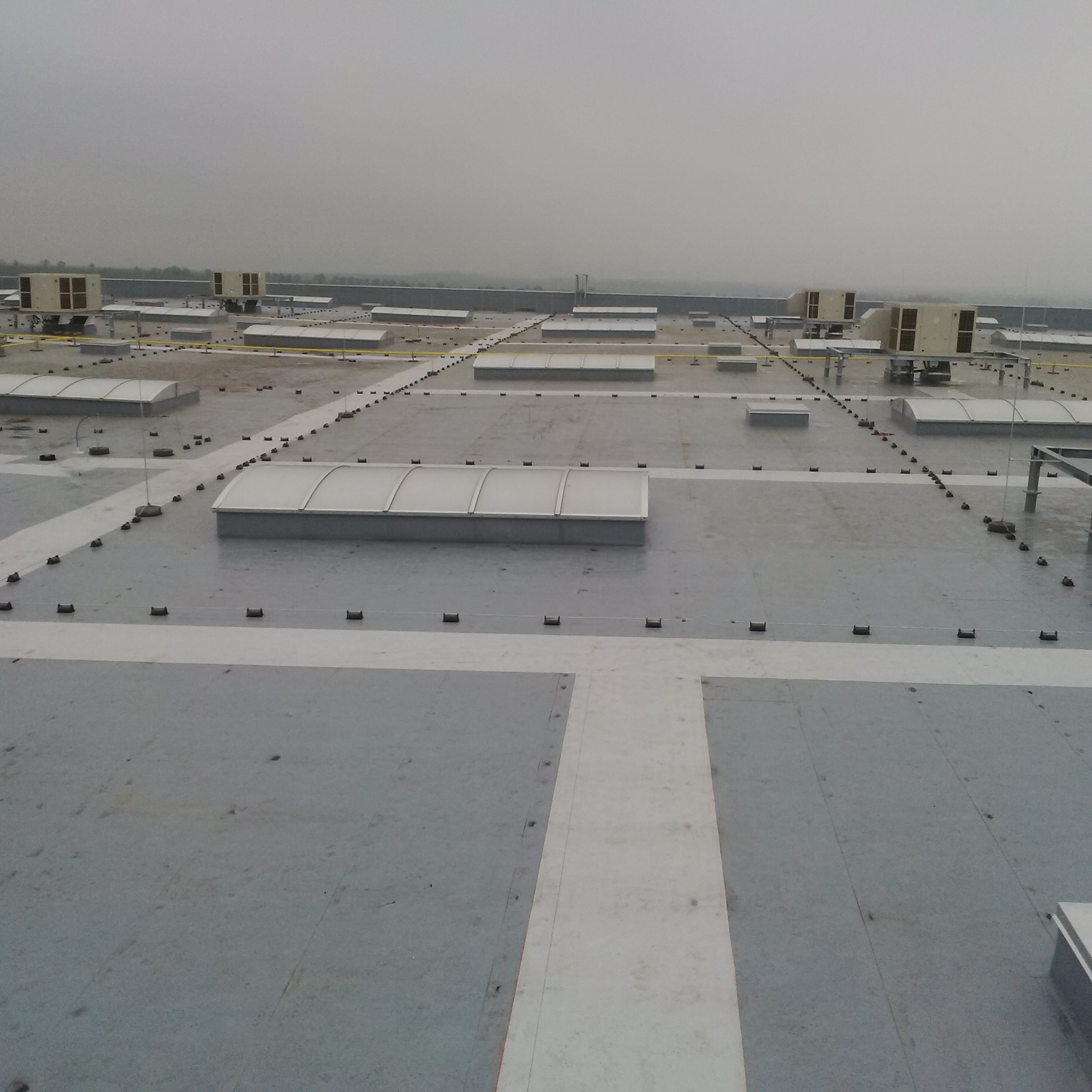 YCM-IMG_20161122_120457